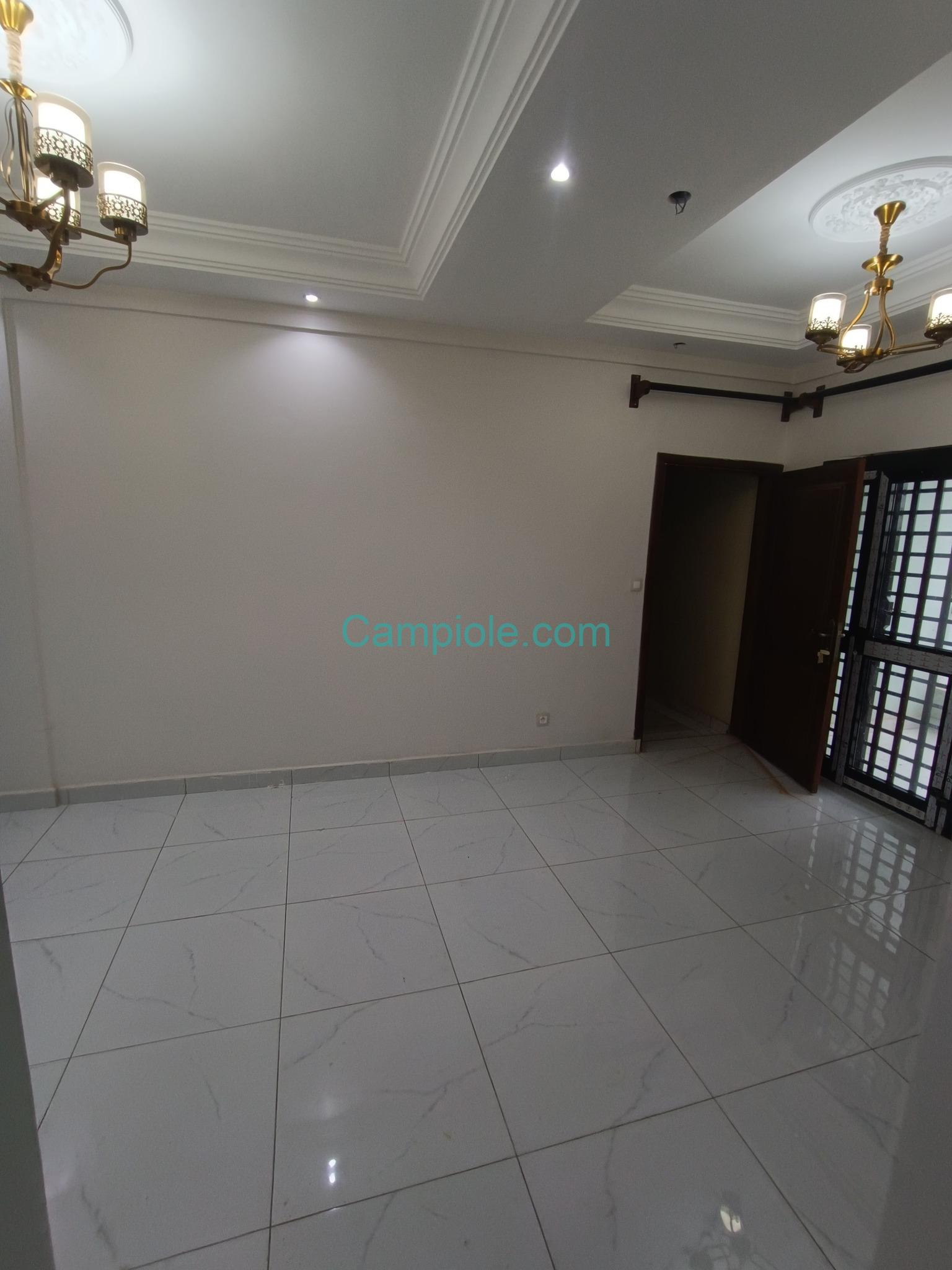 DZ_studio_nsimeyong_yde_280825_sln2