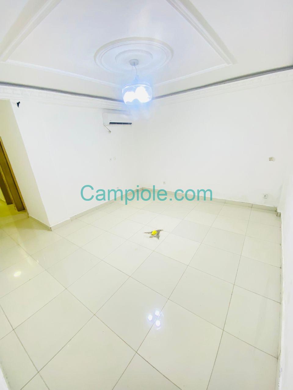 FH_studio_bonamoussadi_dla_120825_sln2