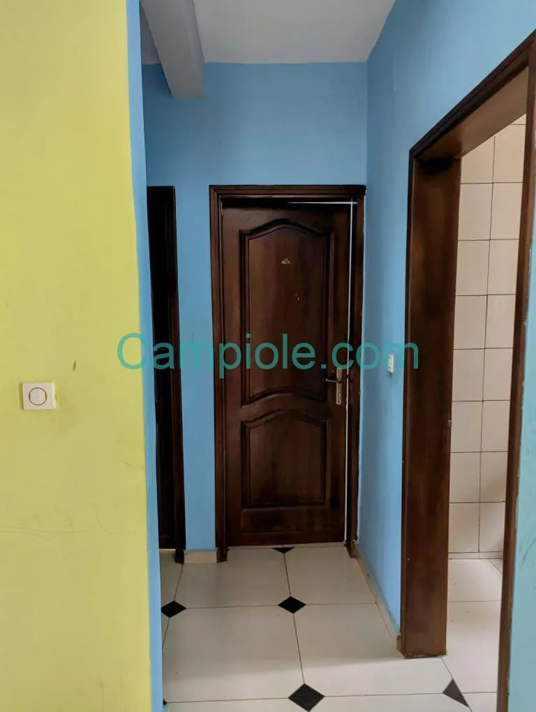 APPARTEMENT À LOUER, YAOUNDÉ FOUGEROLLE
