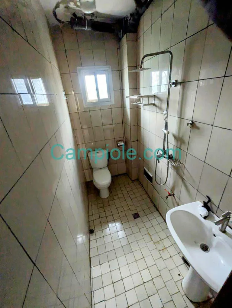 APPARTEMENT À LOUER, YAOUNDÉ FOUGEROLLE