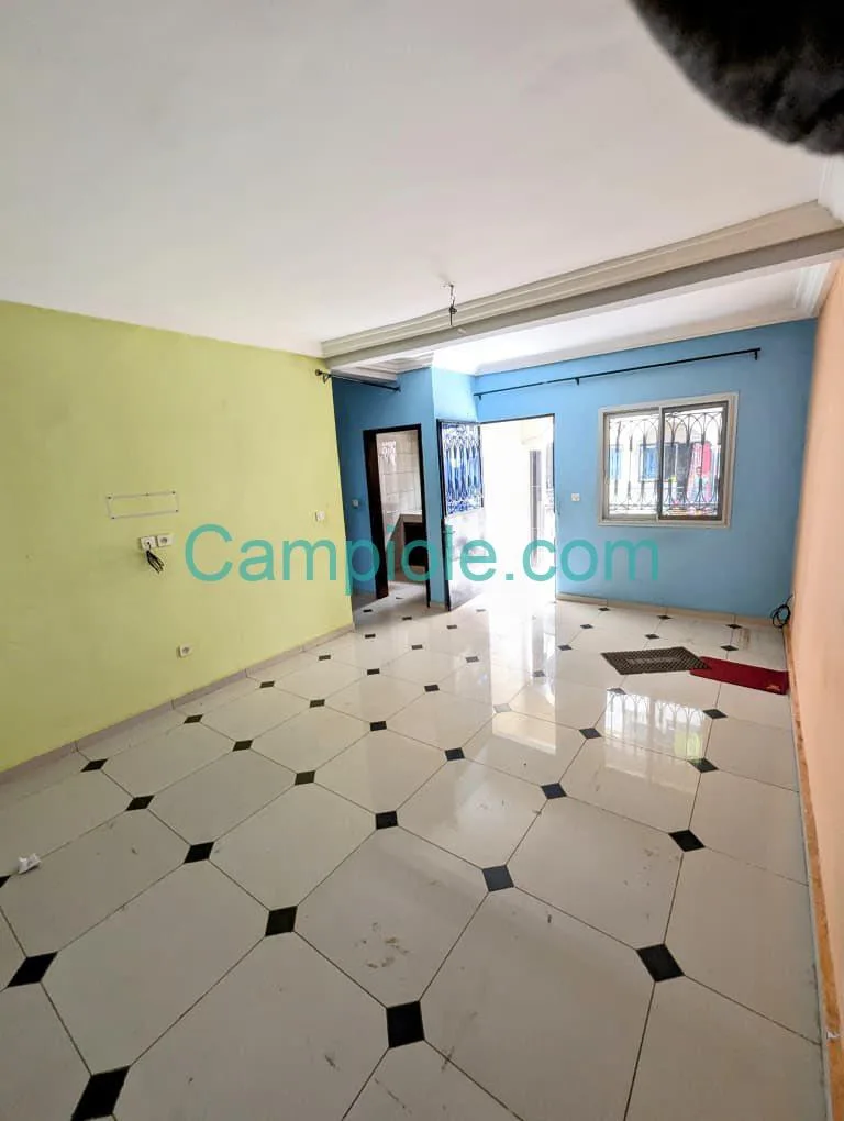 35242- APPARTEMENT À LOUER, YAOUNDÉ FOUGEROLLE