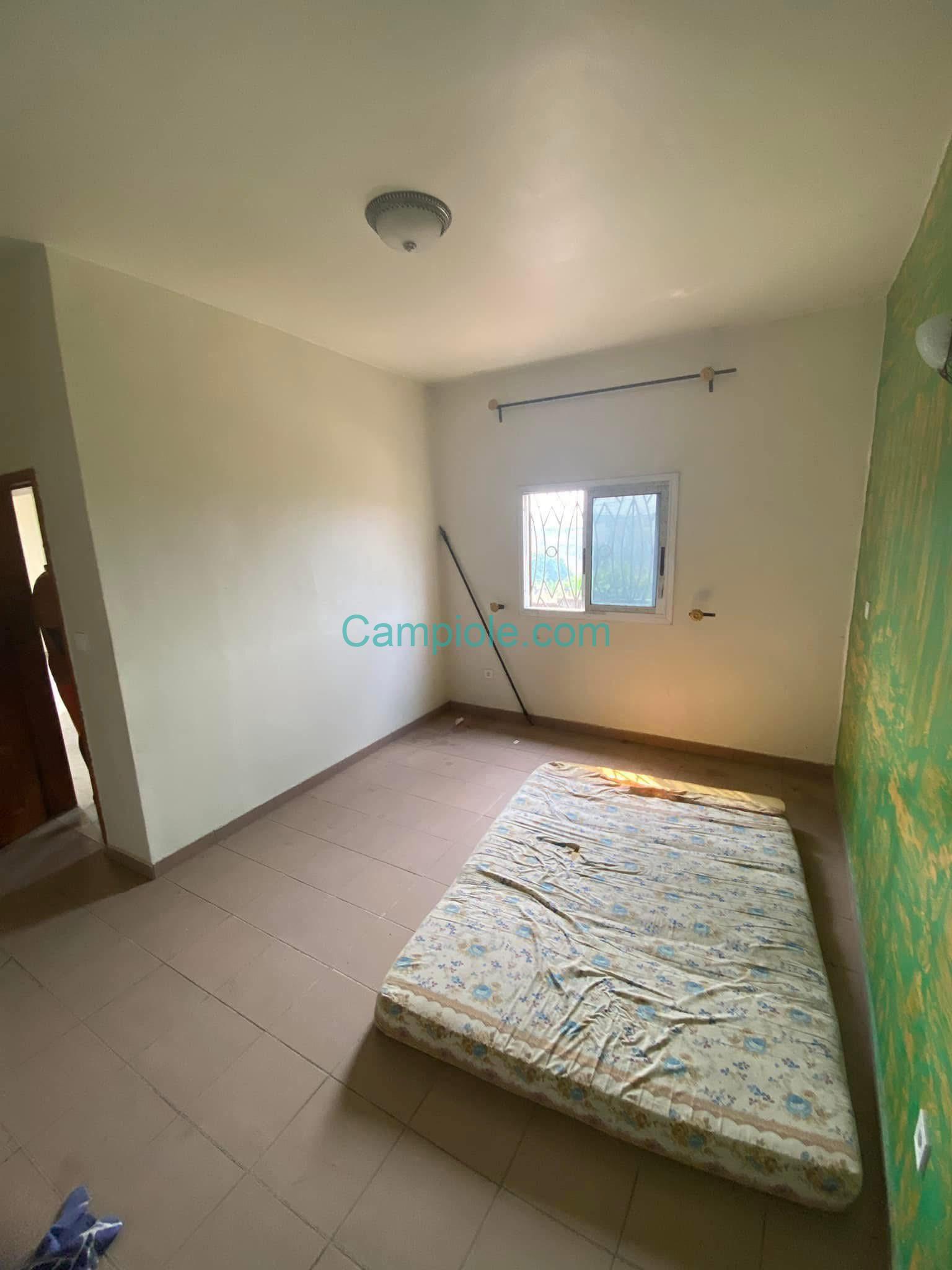 II_studio_yassa_dla_290825_chb2