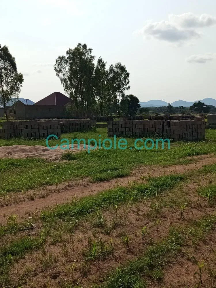38515- Terrain non titré à vendre à Garoua