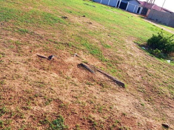 Terrain non titré à vendre à Garoua Djoumassi