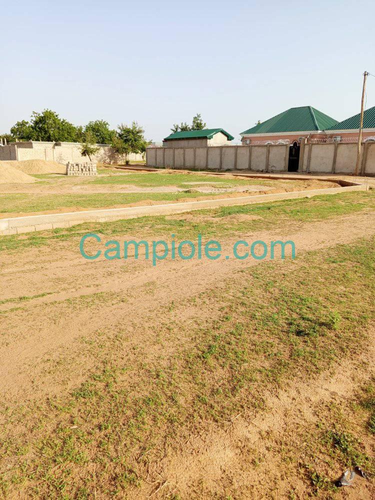 IS_terrain_garoua_230825_2