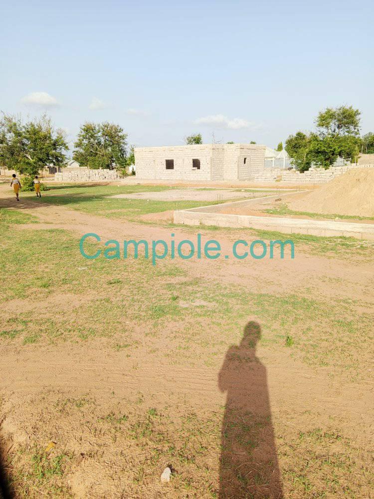 IS_terrain_garoua_230825_3