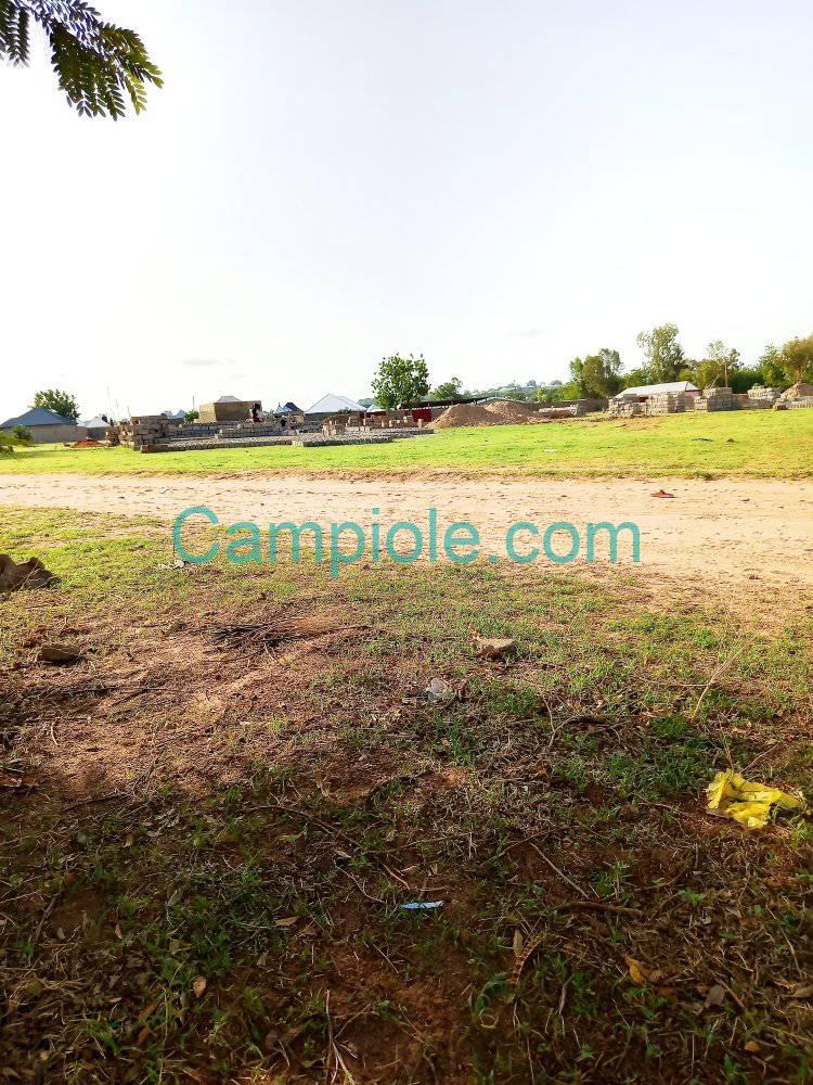 IS_terrain_garoua_230825_4
