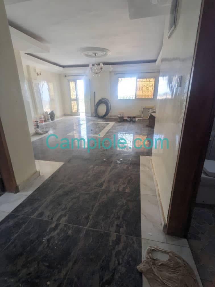 LI_appartement_ekie_yaounde_140825_sln1