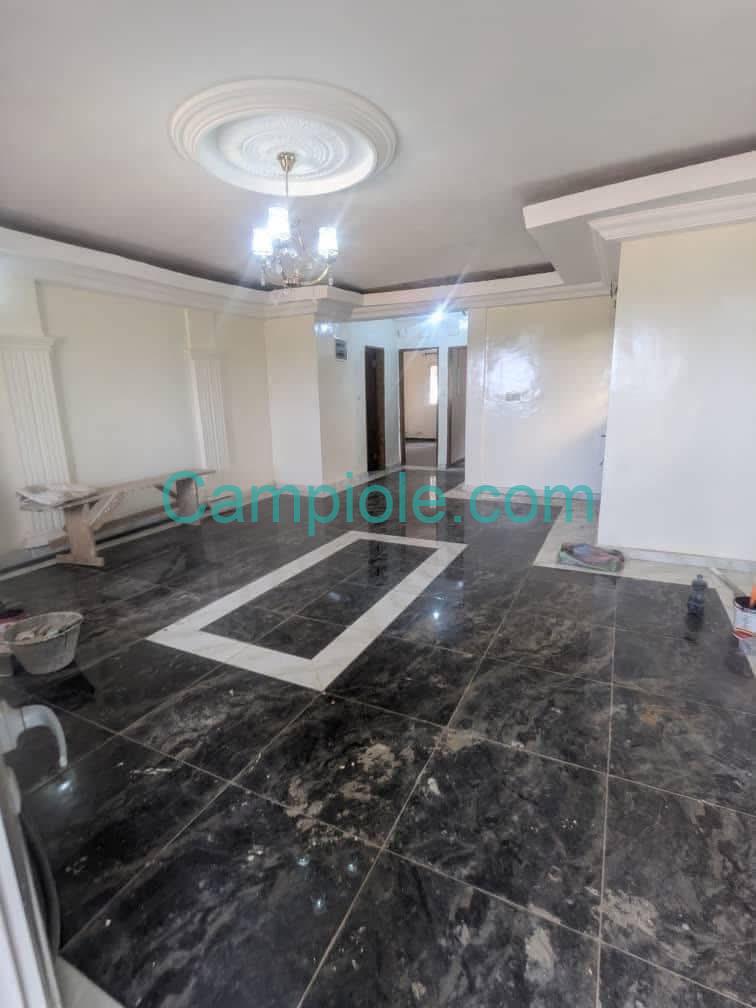 LI_appartement_ekie_yaounde_140825_sln2