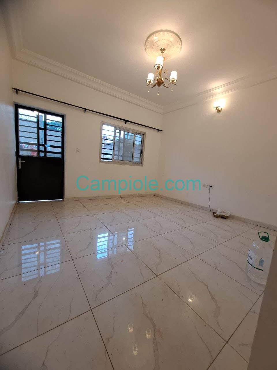 SH_studio_nkolfoulou_yde_120825_sln2