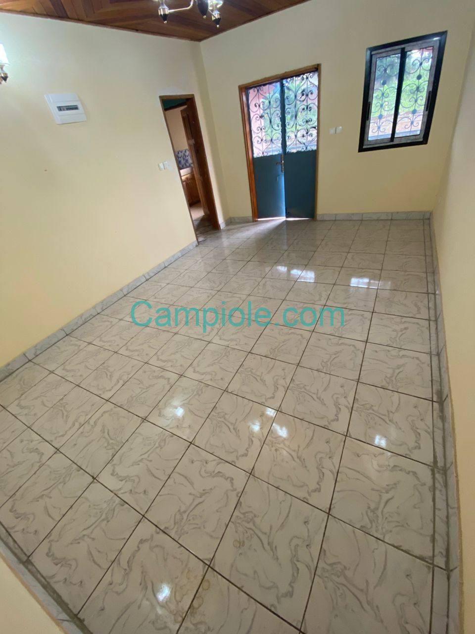 SH_studio_nkolmessing_yde_050825_sln2