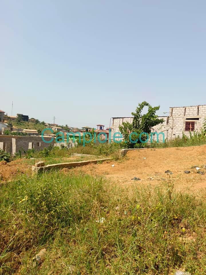 SH_terrain_ngousso_yde_120825_1