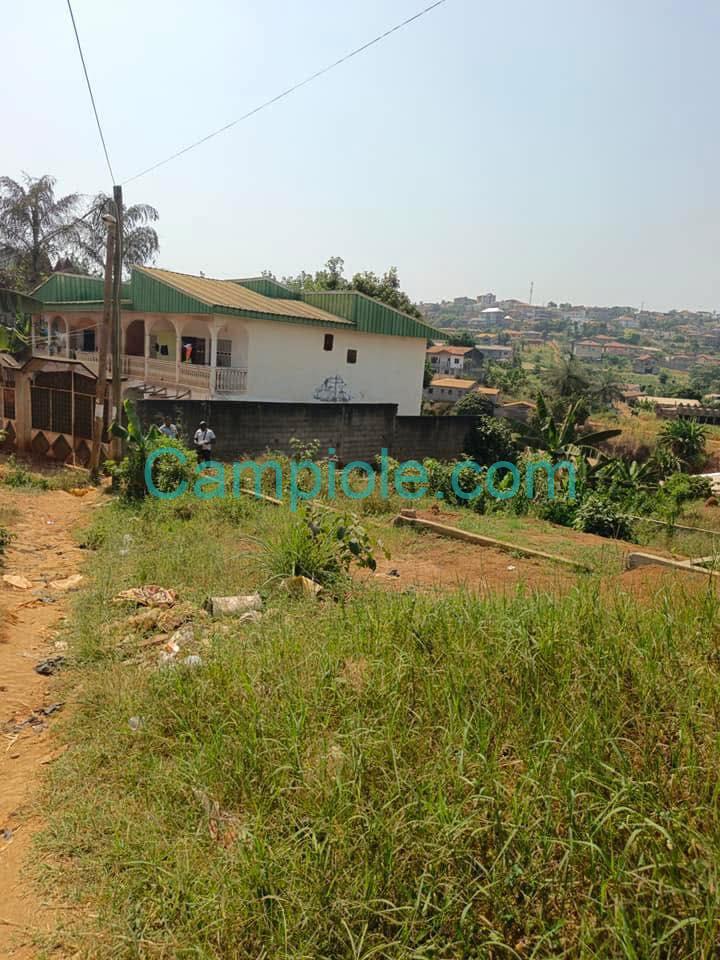 SH_terrain_ngousso_yde_120825_2