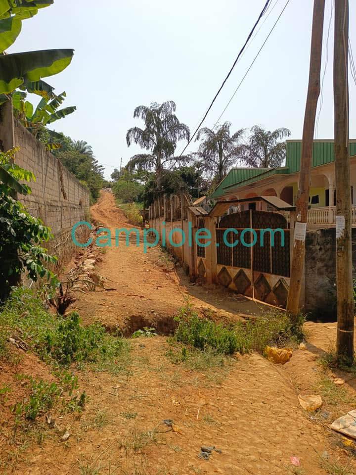 SH_terrain_ngousso_yde_120825_3