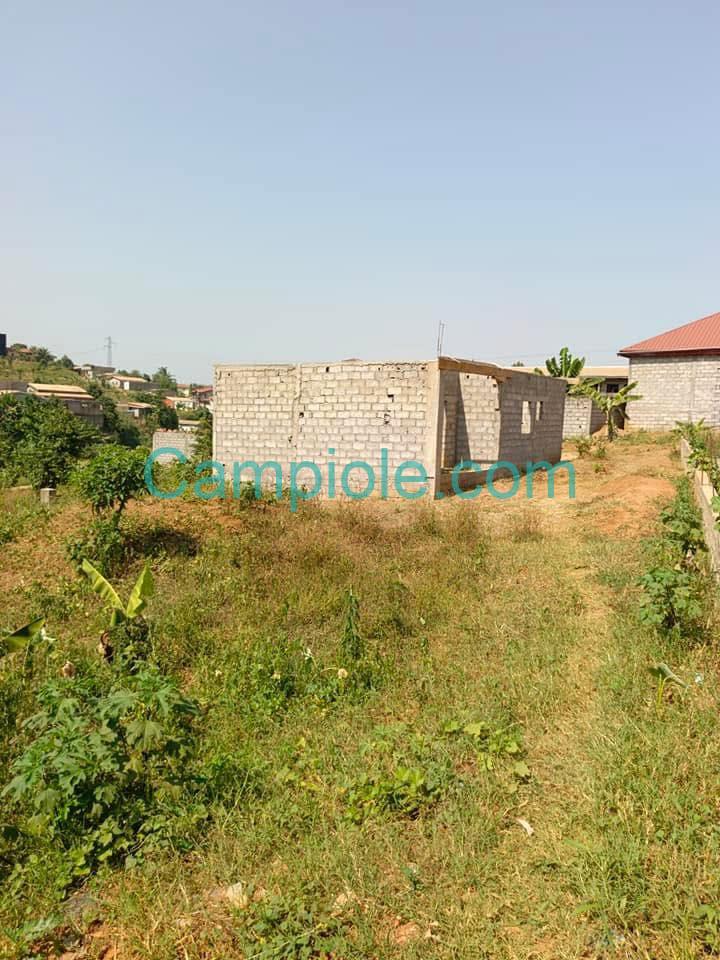 SH_terrain_ngousso_yde_120825_4