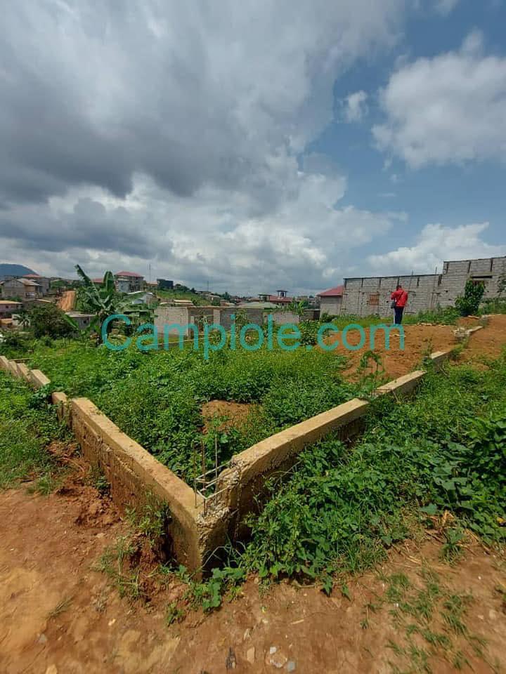 SH_terrain_ngousso_yde_120825_7