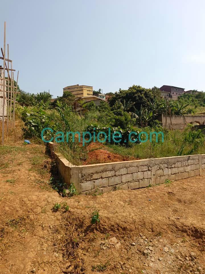 SH_terrain_ngousso_yde_120825_8