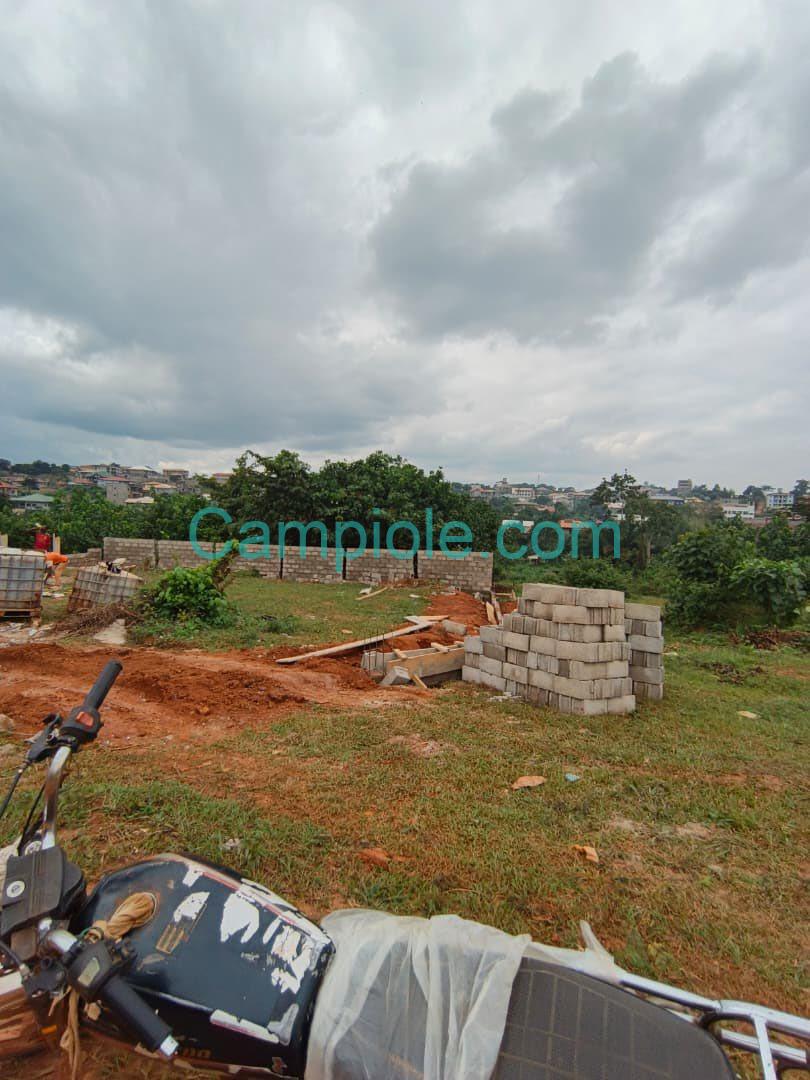 SH_terrain_nkolfoulou_yde_080825_02