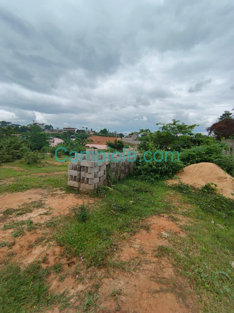 SH_terrain_nkolfoulou_yde_080825_04