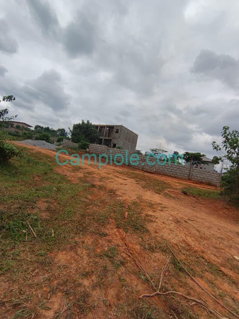 SH_terrain_nkolfoulou_yde_080825_05