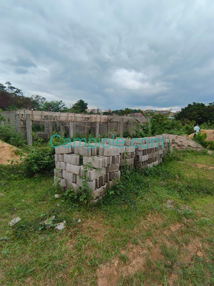 SH_terrain_nkolfoulou_yde_080825_06