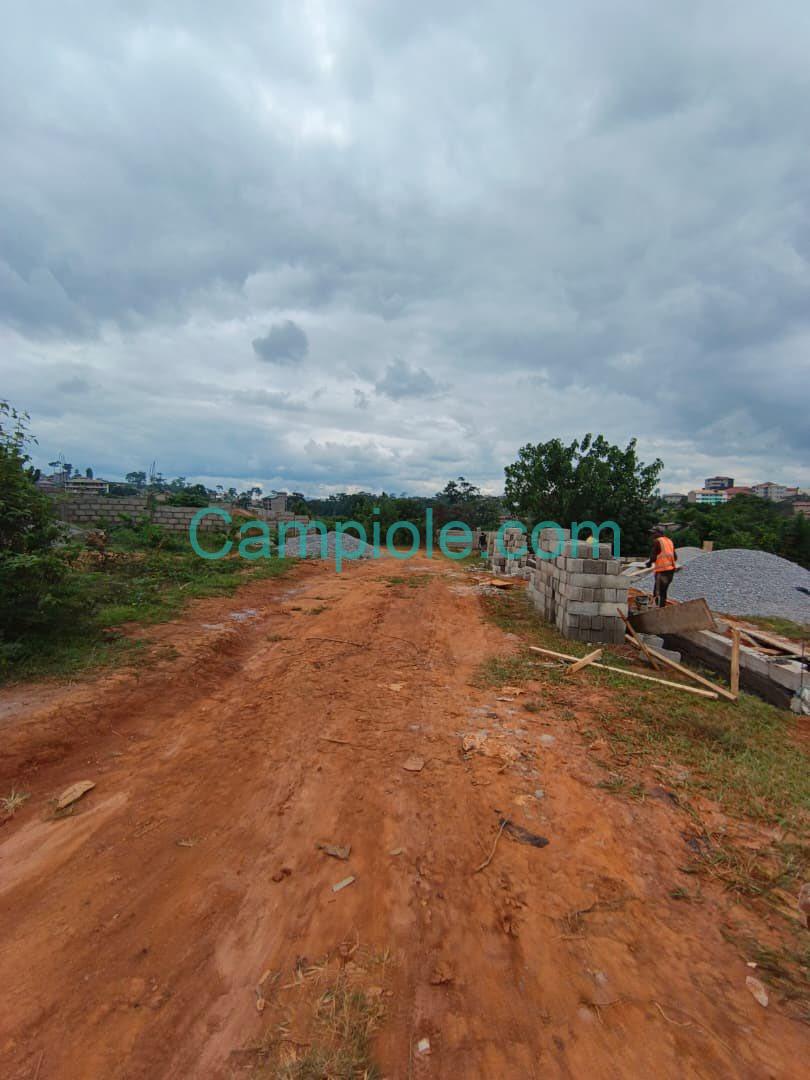 SH_terrain_nkolfoulou_yde_080825_07