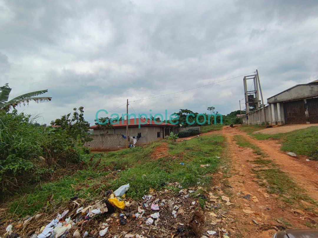 SH_terrain_nkolfoulou_yde_080825_09