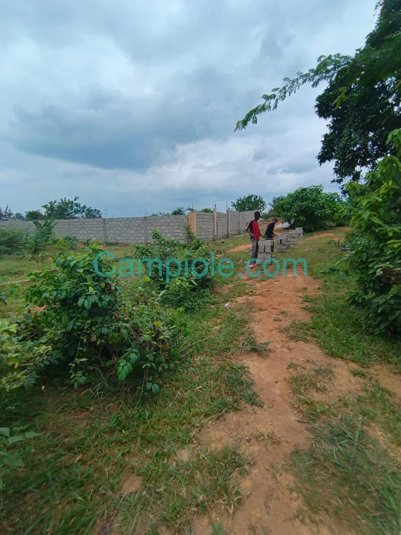 43200- TERRAIN TITRÉ À VENDRE, YAOUNDÉ NKOLFOULOU