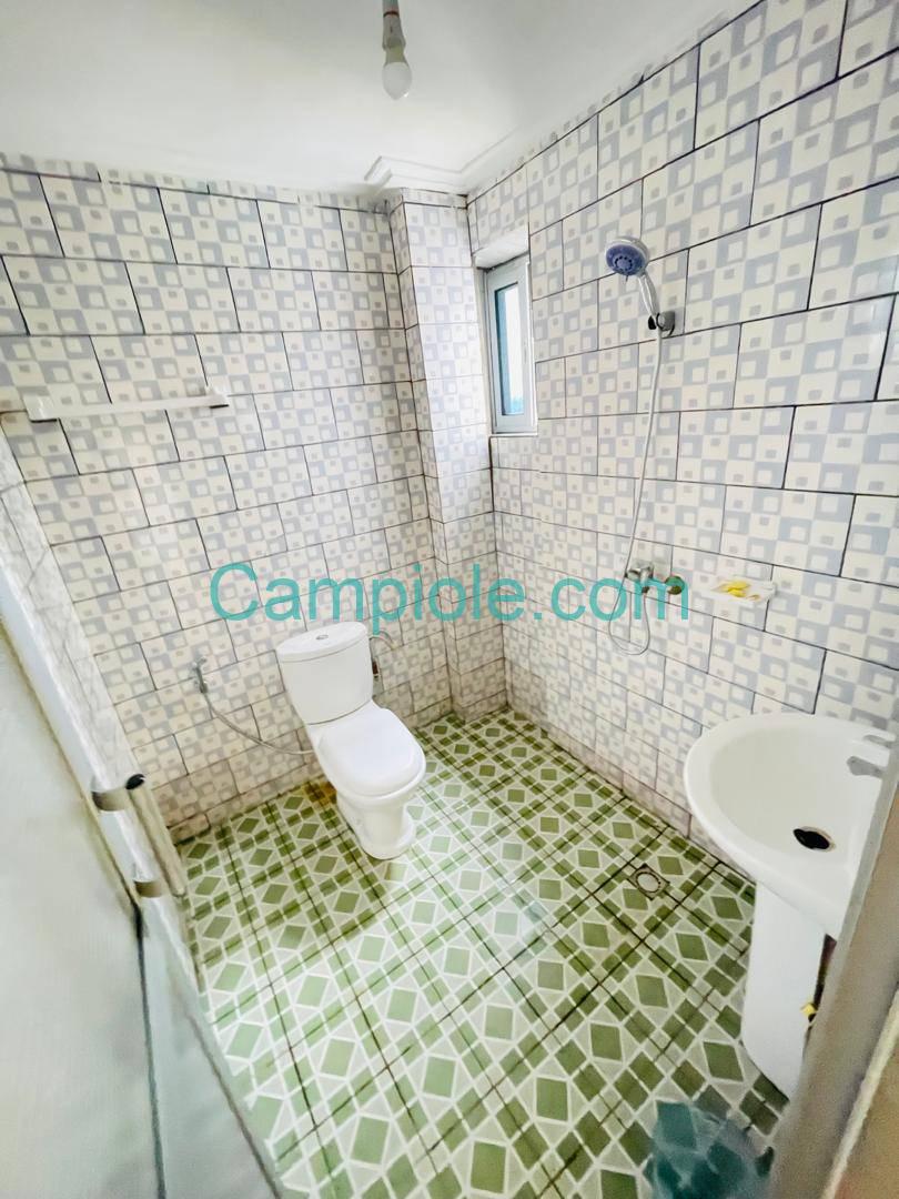 SM_studio_kotto_dla_140825_dch