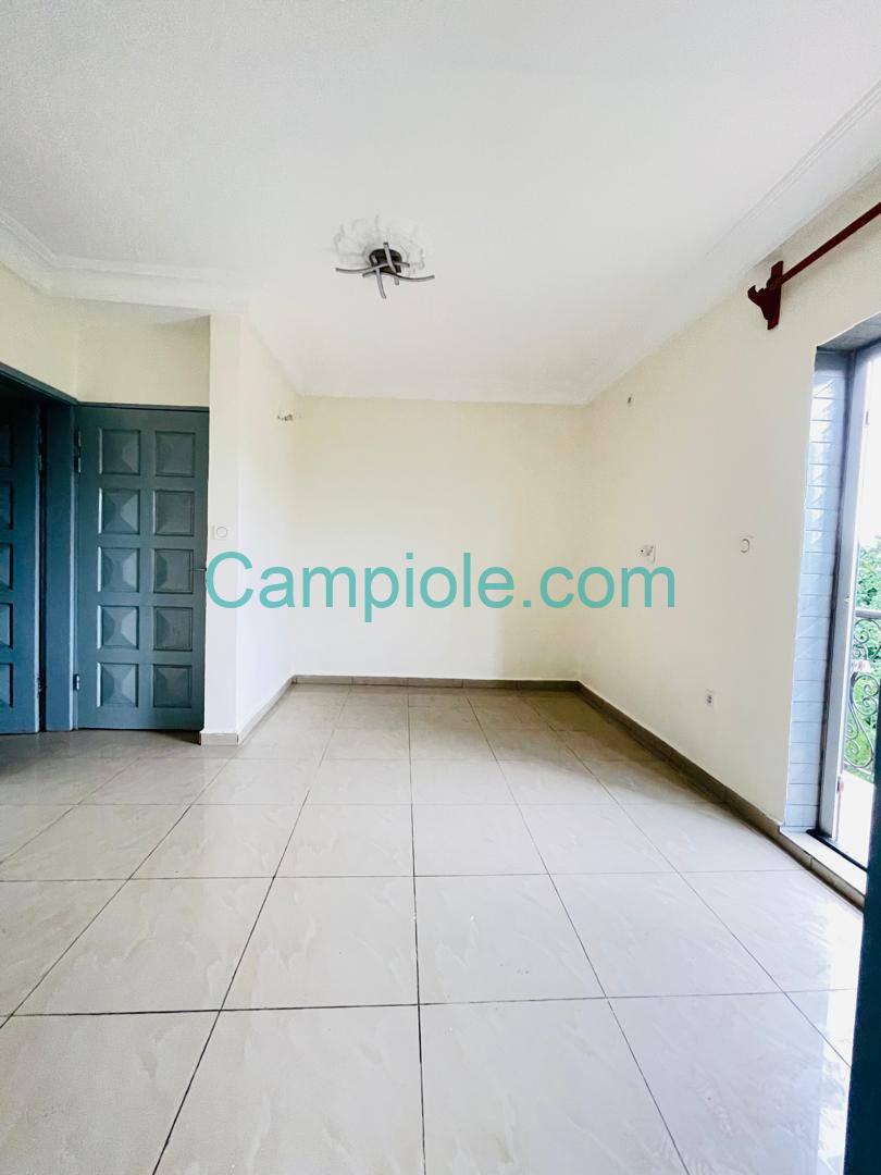 SM_studio_kotto_dla_140825_sln1