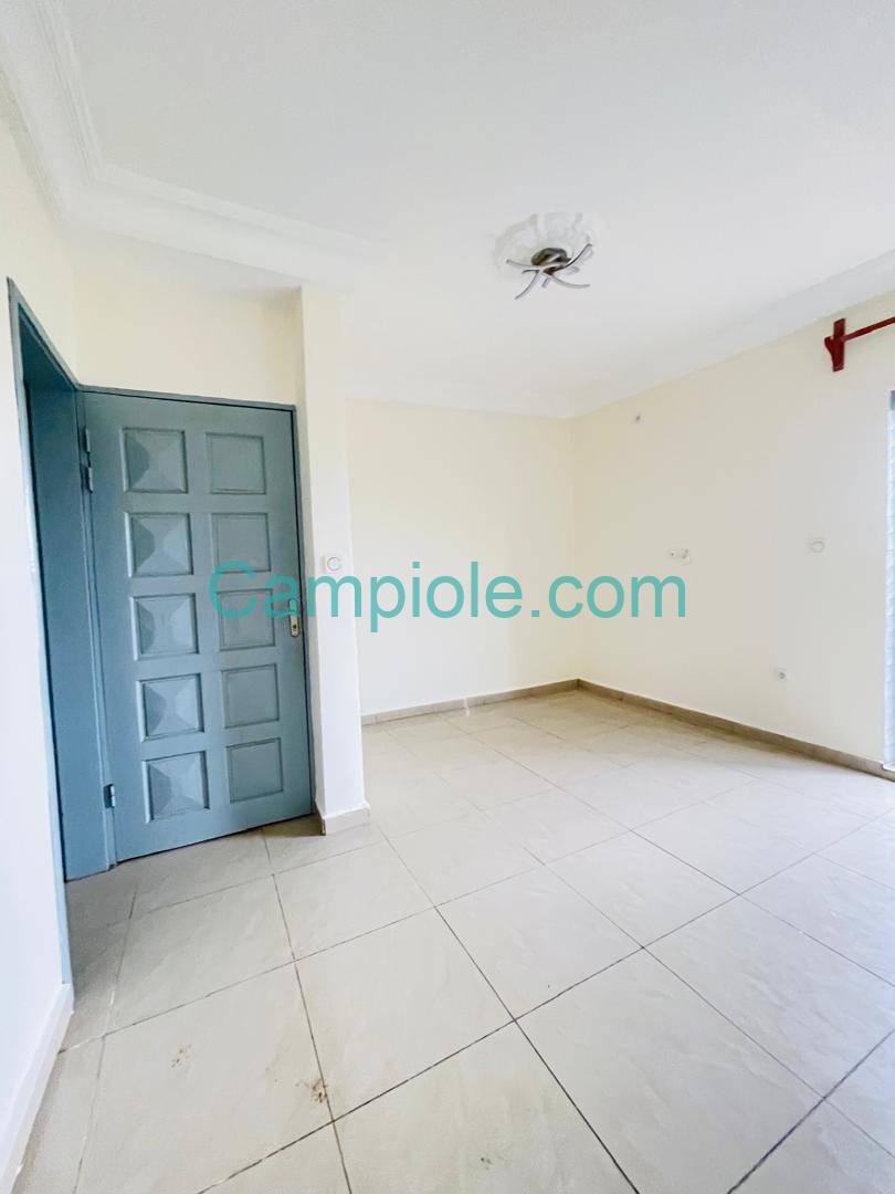 SM_studio_kotto_dla_140825_sln5