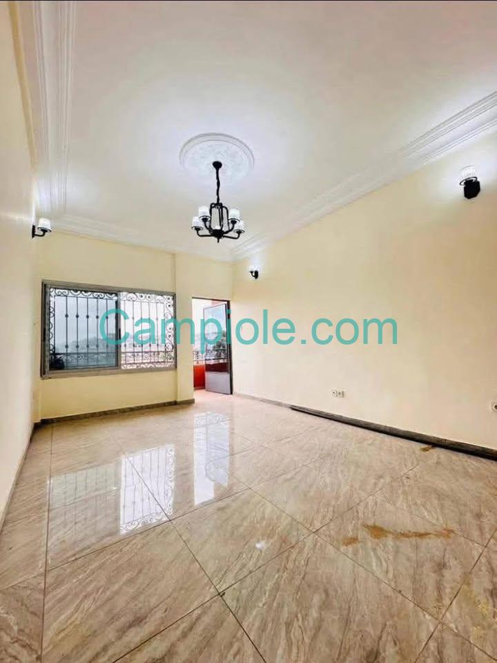 TA_appartement_biyemassi_yde_120825_sln1