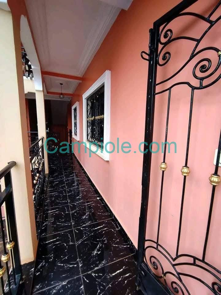 ZD_appartement_damas_yde_080825_blc