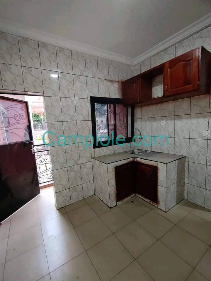 ZD_appartement_damas_yde_080825_csn1