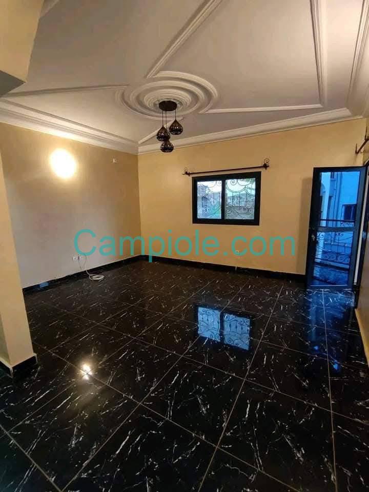 ZD_appartement_damas_yde_080825_sln1