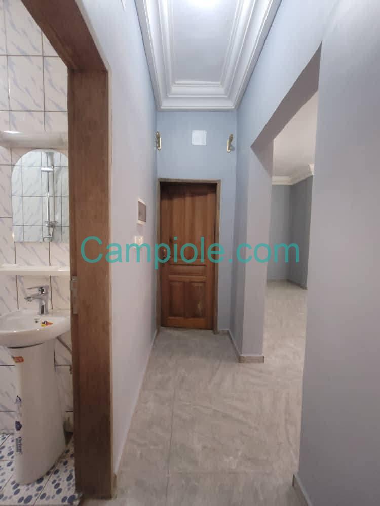 ZD_appartement_damas_yde_190825_clr