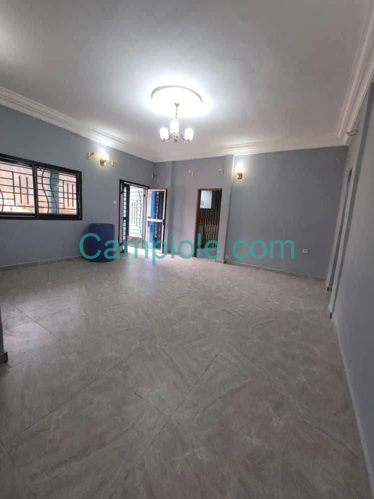 ZD_appartement_damas_yde_190825_sln1