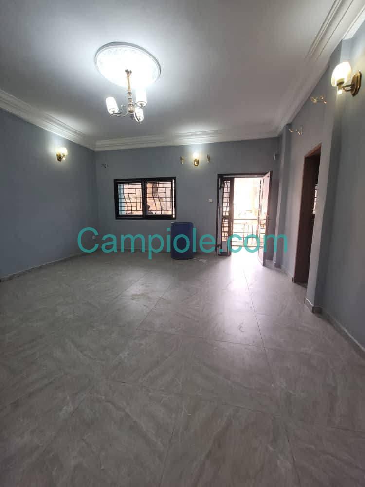 ZD_appartement_damas_yde_190825_sln2