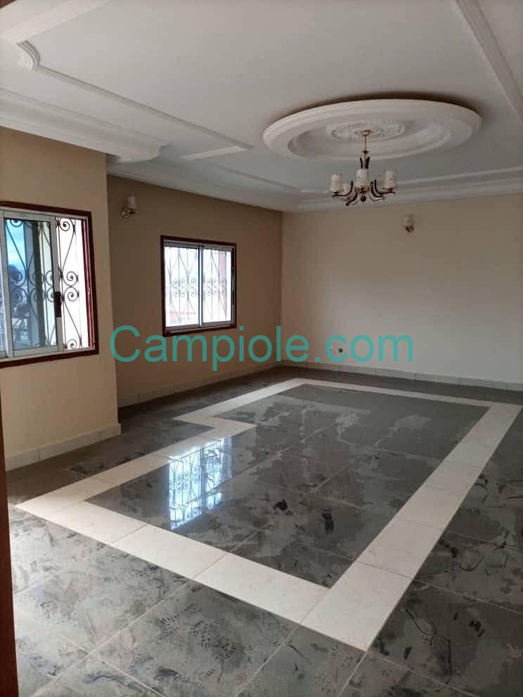 ZD_appartement_mendong_yde_270825_sln1