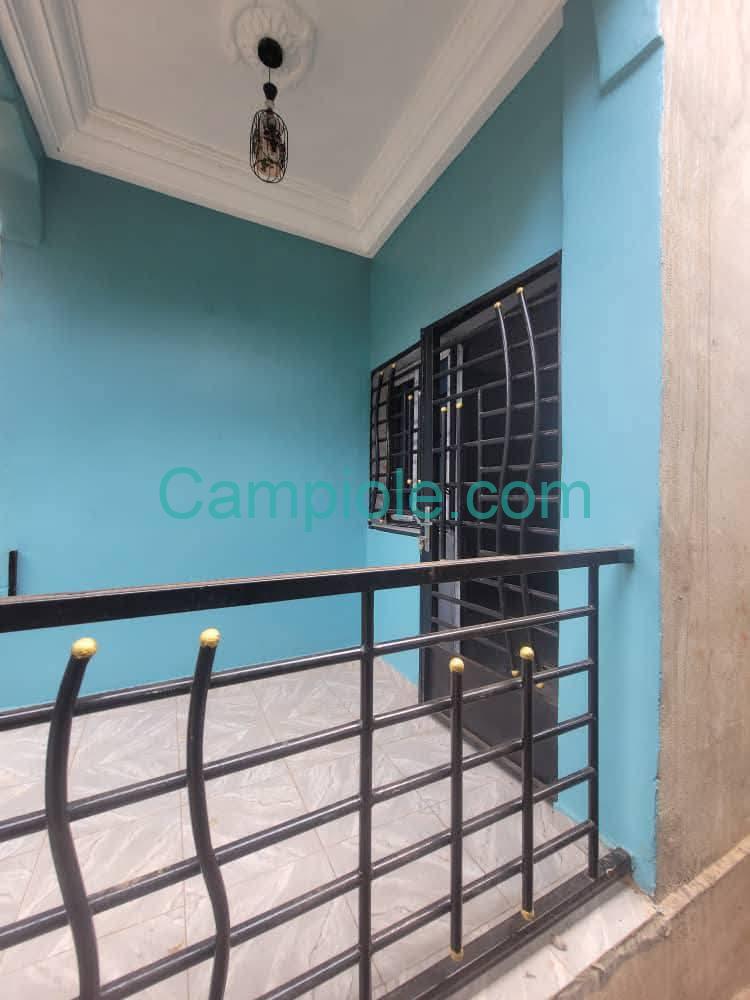 ZD_studio_damas_yde_190825_blcn