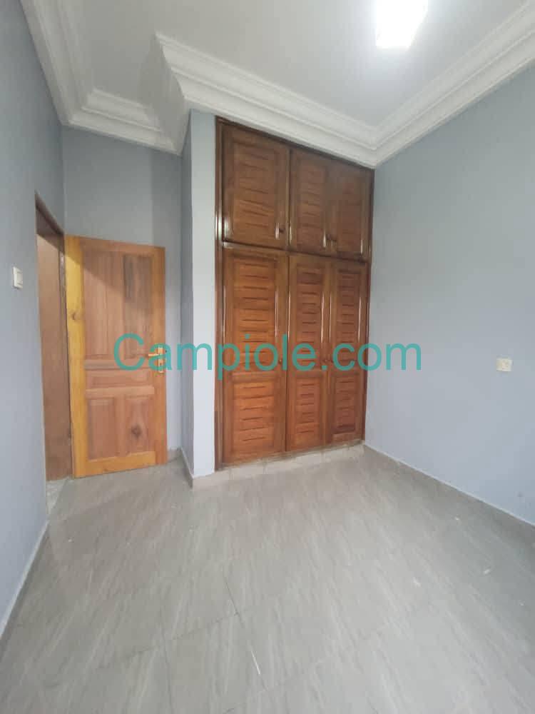 ZD_studio_damas_yde_190825_chb1