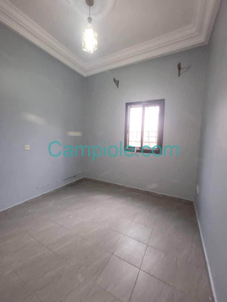 ZD_studio_damas_yde_190825_chb2