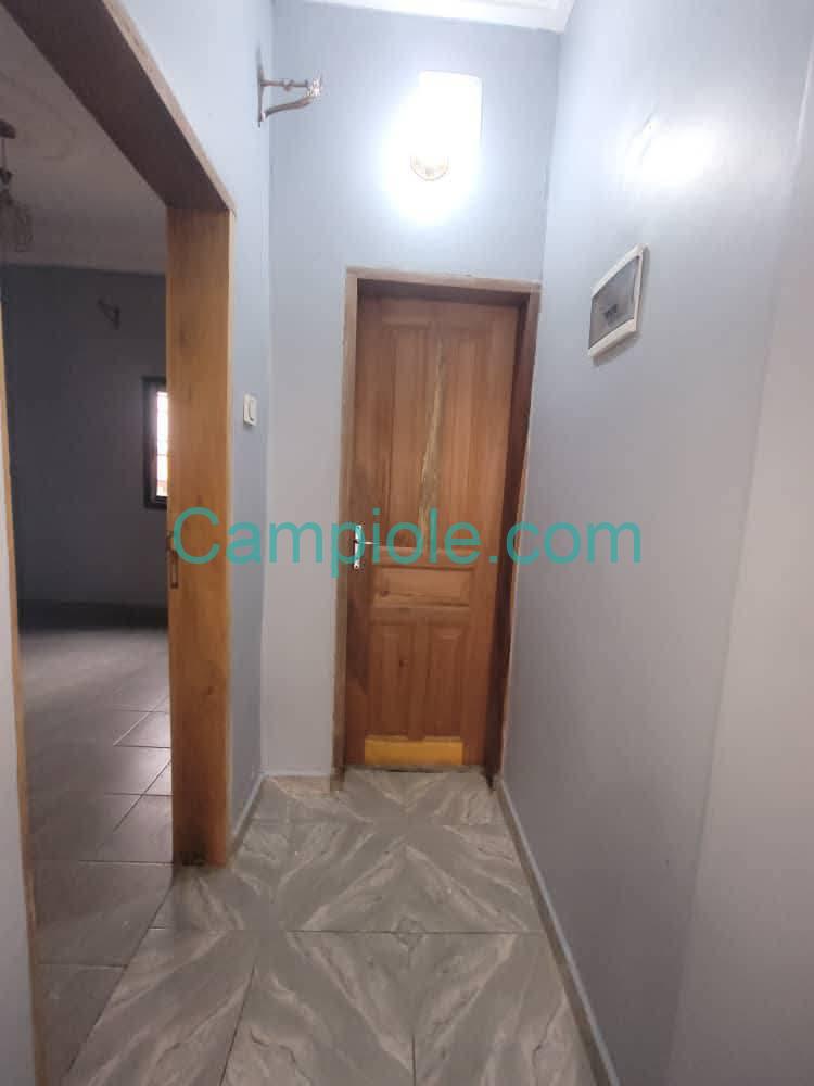 ZD_studio_damas_yde_190825_clr