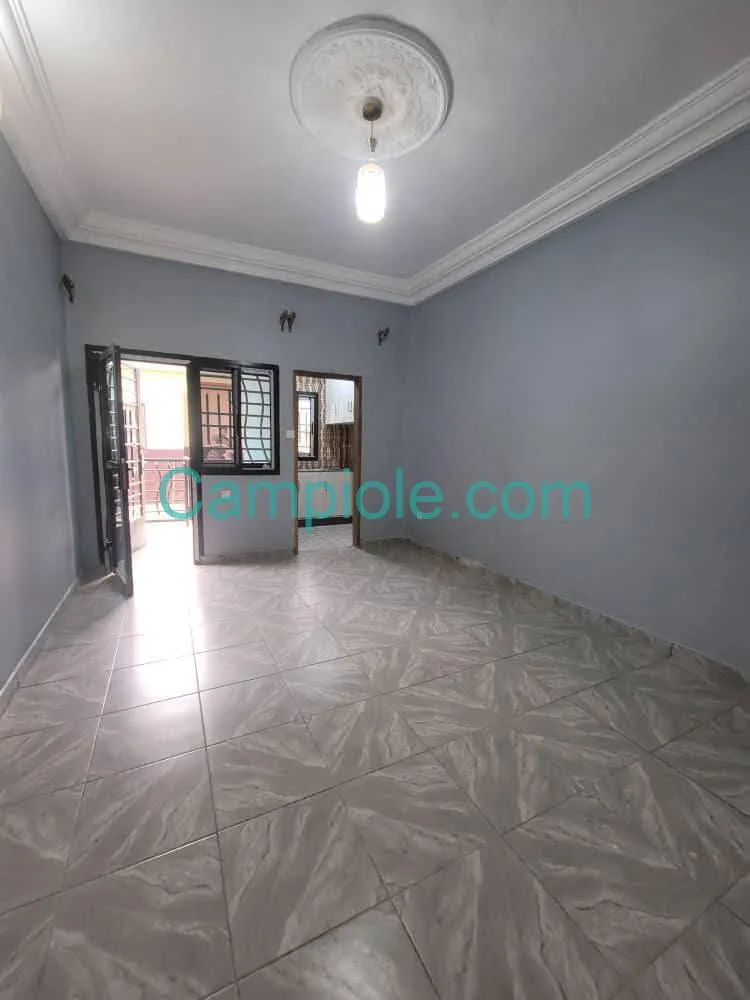 29546- Studio neuf à louer Damas petits génies, Yaoundé