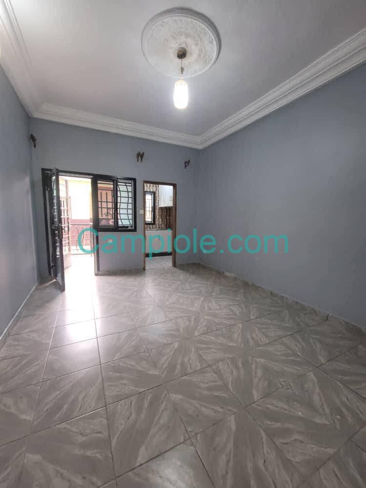 ZD_studio_damas_yde_190825_sln1