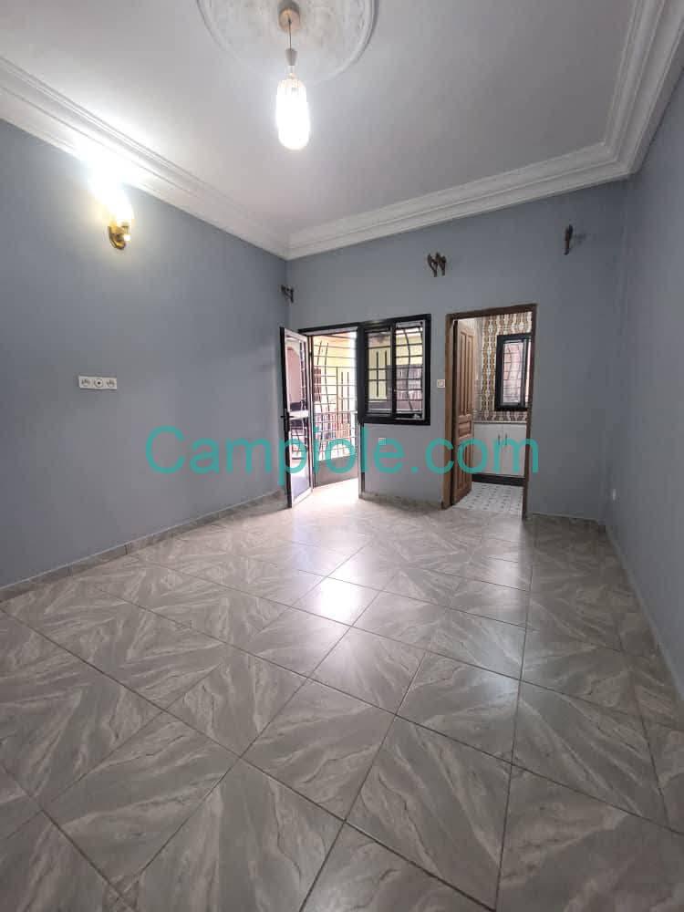 ZD_studio_damas_yde_190825_sln2