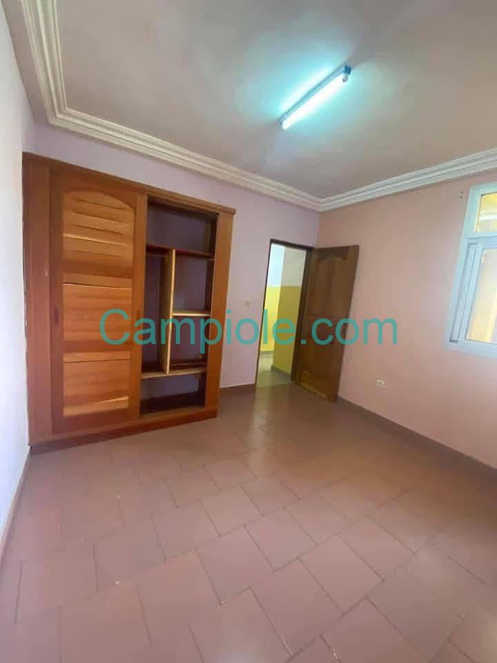 ZD_studio_mendong_190825_chb