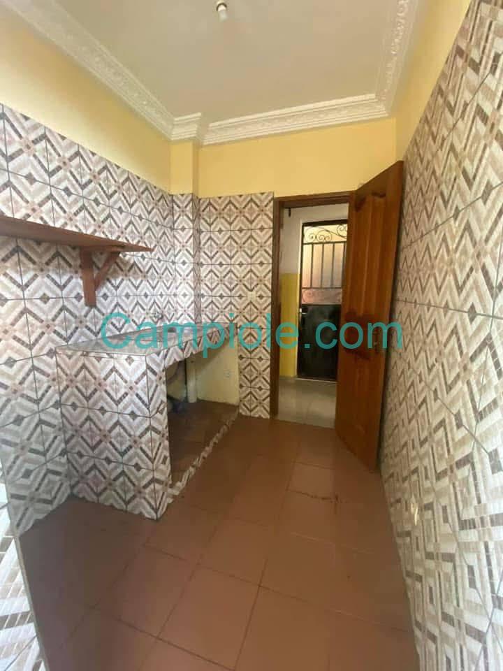 ZD_studio_mendong_190825_csn