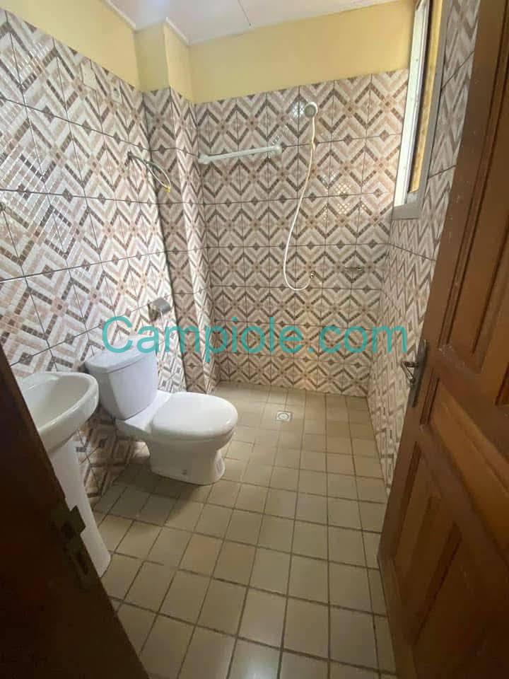 ZD_studio_mendong_190825_dch