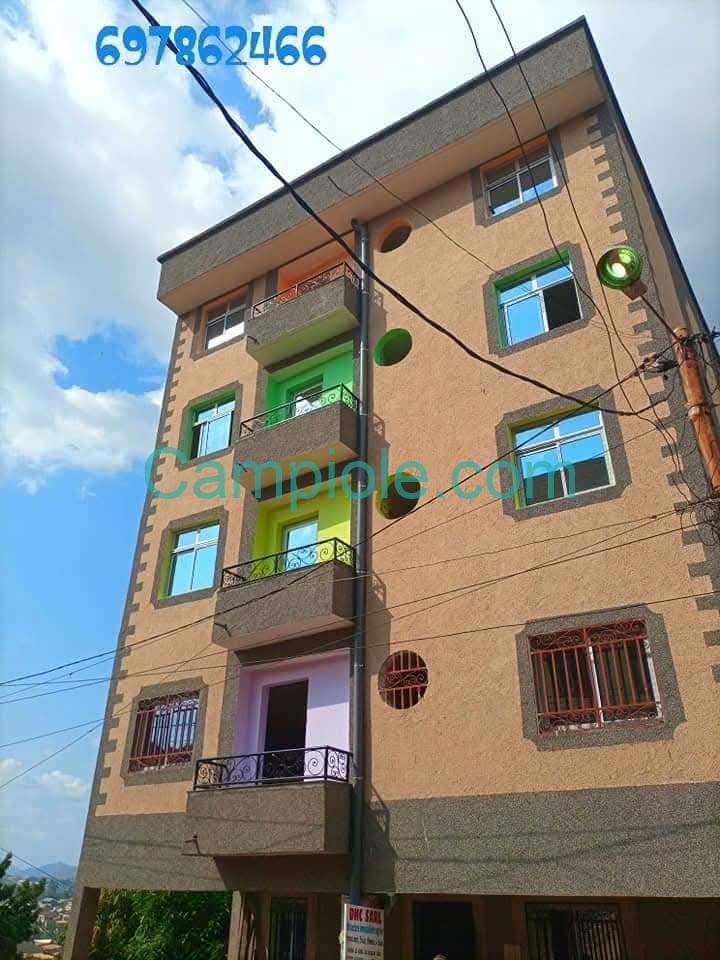 ZD_studio_mendong_190825_ext